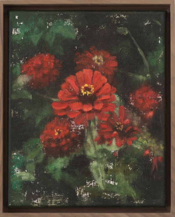 Zinnias, Oil, 30 x 40 cm