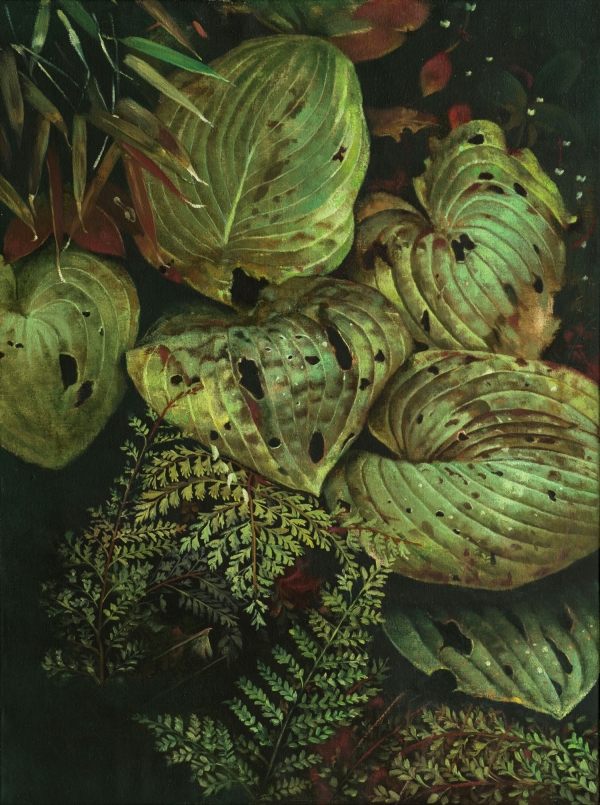 Hostas and Ferns, Oil, 60 x 80 cm