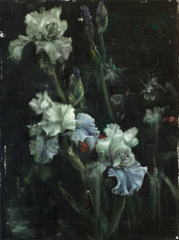 White Iris, Oil, 60 x 80 cm