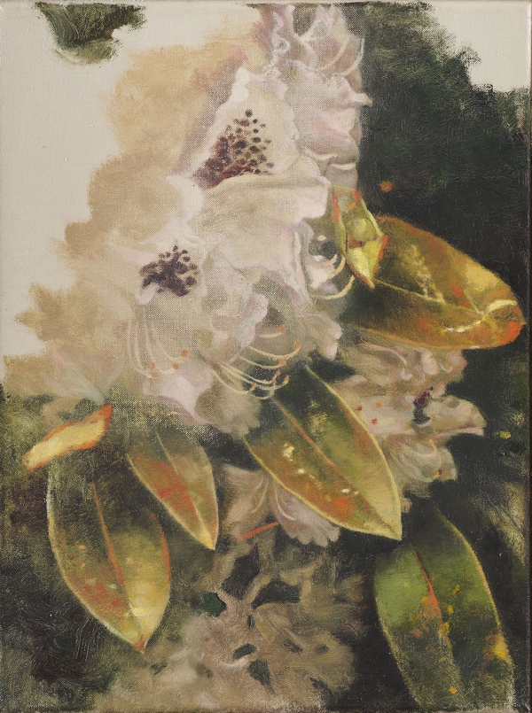 Rhododendron - small, Oil, 30 x 40 cm